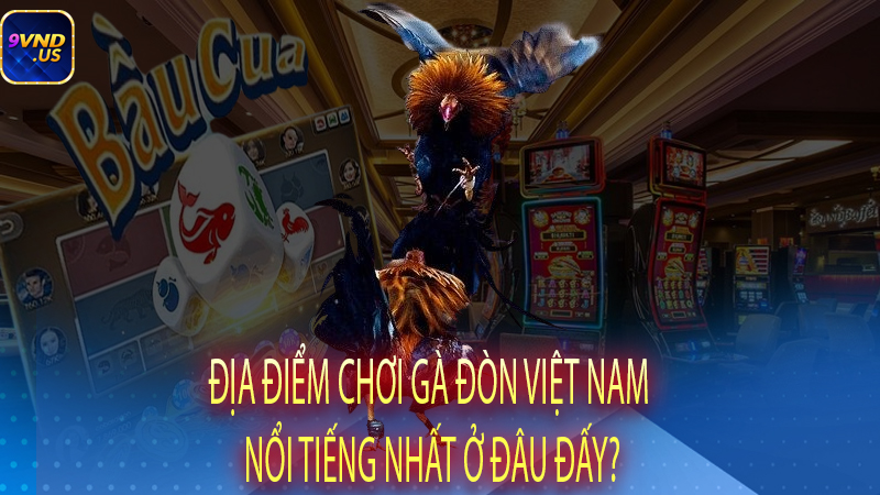 Địa điểm chơi gà đòn Việt Nam nổi tiếng nhất ở đâu đấy?